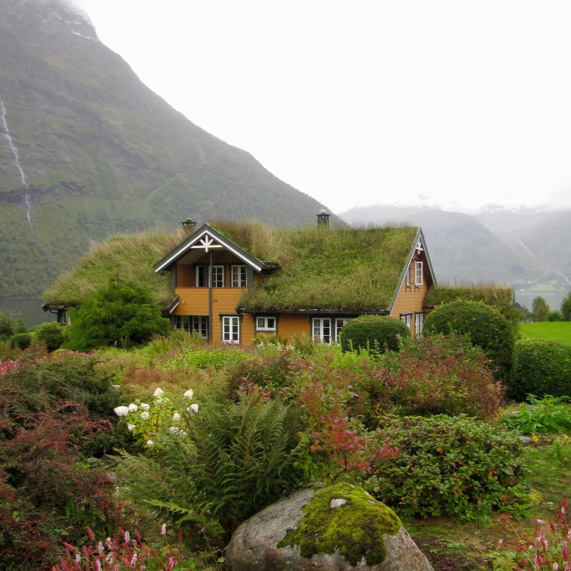 Foto: Jim Petkiewicz